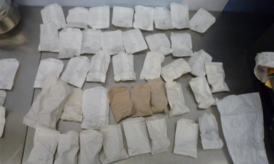 2015-1-26-1134kaktusy foto 1.jpg